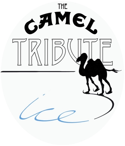 ICE - The Dutch Camel Tribute